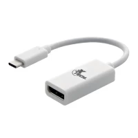 ADAPTADOR/CABLE USB C  A DISPLAY PORT XTC-555 XTECH